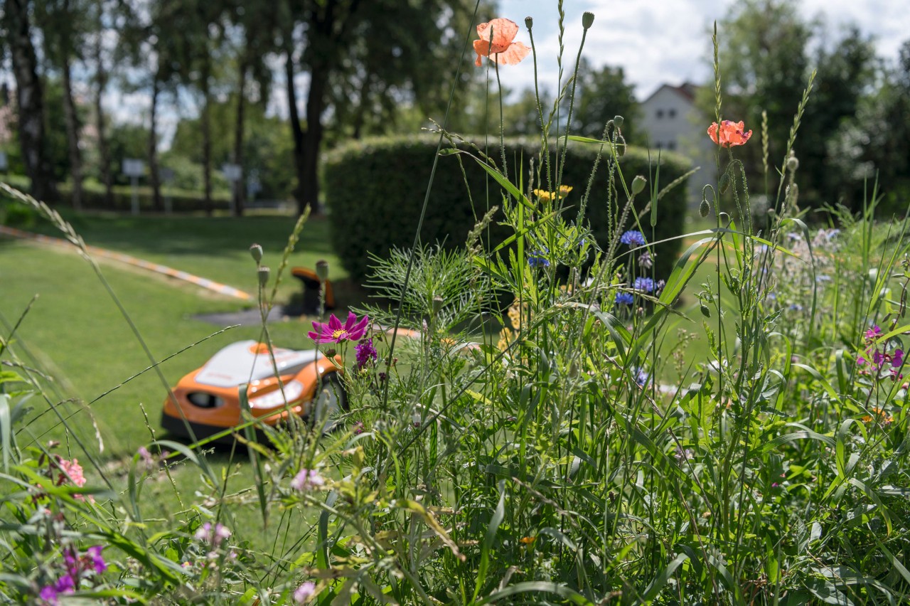 Biodiversität